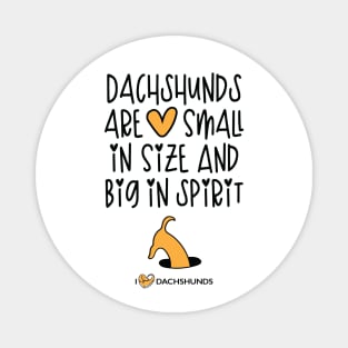 Dachshunds Are Small In Size And Big In Spirit Magnet